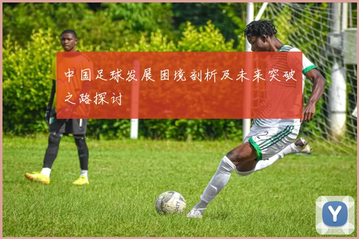中国足球发展困境剖析及未来突破之路探讨